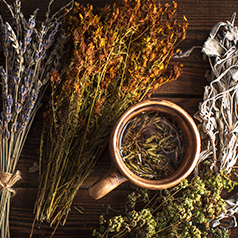 Mélange de plantes