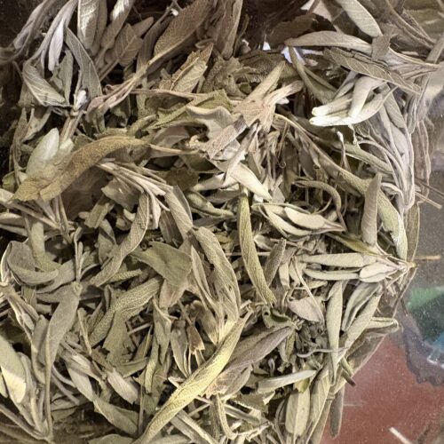Sauge officinale