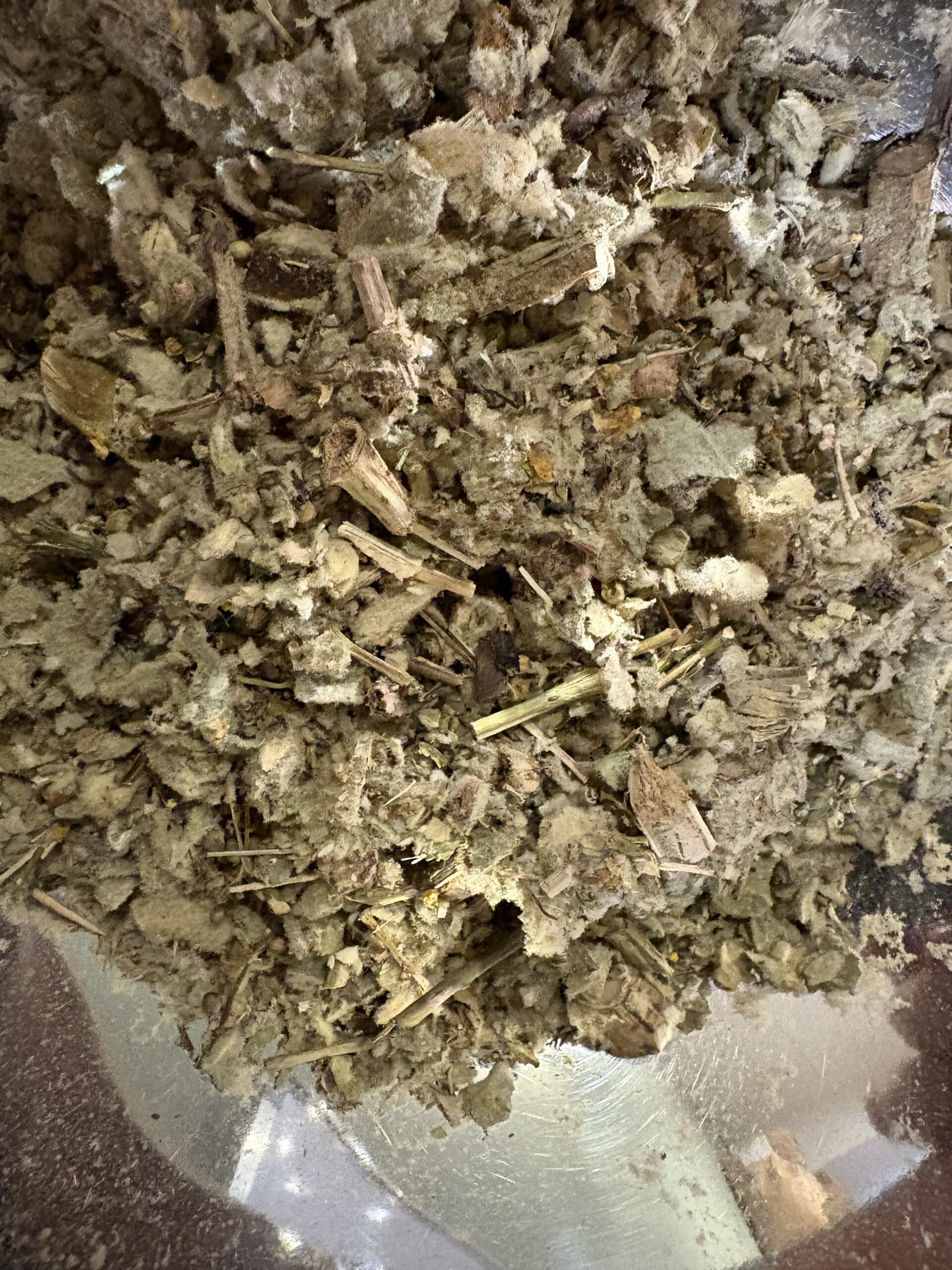 Bouillon blanc part.aer. – Image 2