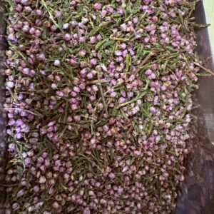 Bruyère (fleurs)