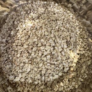 Angélique officinale (graines)