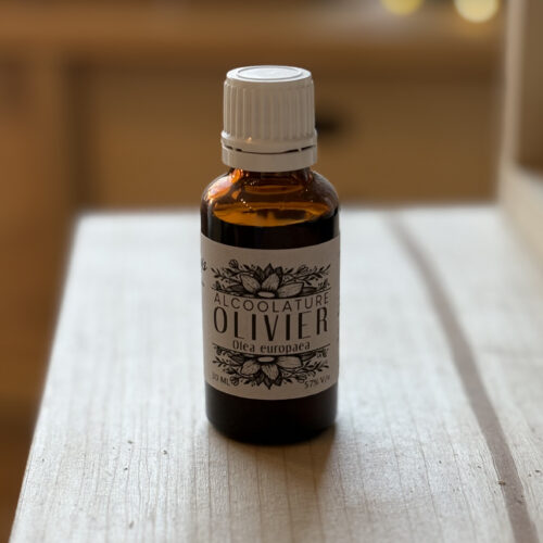 Teinture-mère d'Olivier