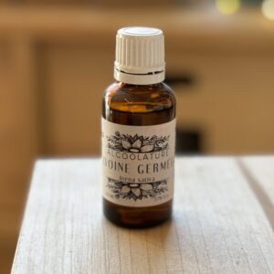 Teinture-mère Avoine germée