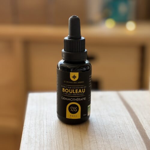 Macérat de bourgeons de Bouleau