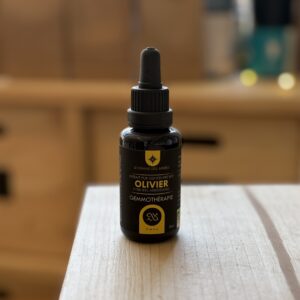 Macérat de bourgeons d'Olivier