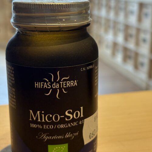 Mico-Sol - Hifas da Terra - Agaricus blazei