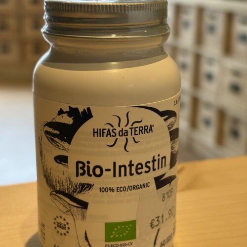 Bio-intestin - Hifas da Terra