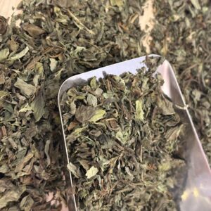 Basilic