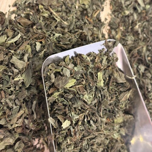 Basilic