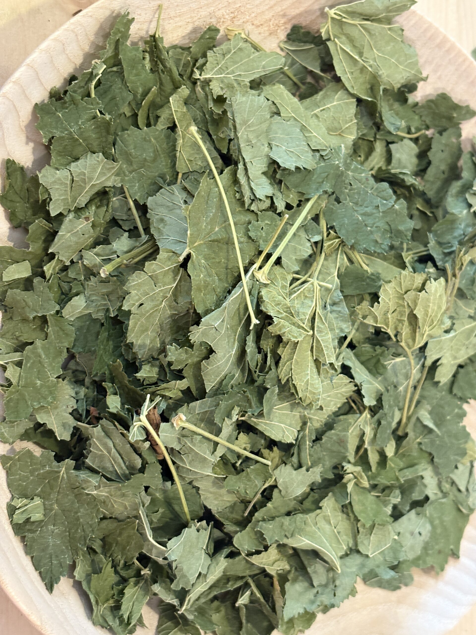 Cassis feuillles – Image 2