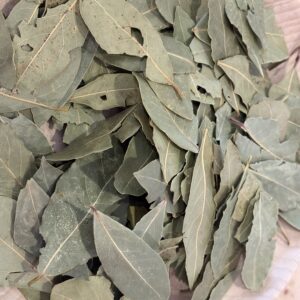 Laurier noble (feuilles)