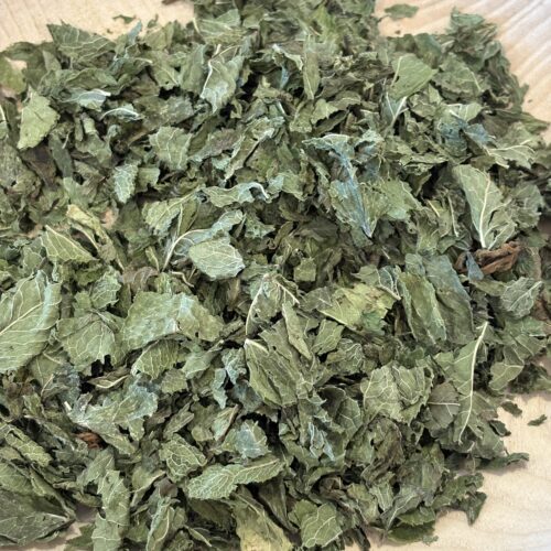 Tisane de Menthe verte