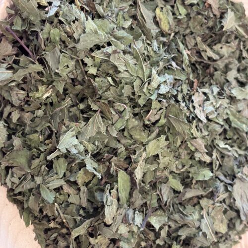 Tisane de Menthe poivrée