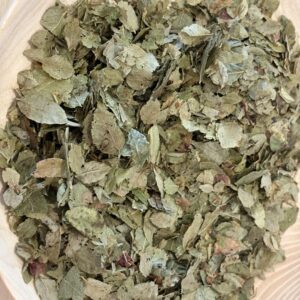 Tisane de Myrtille (feuilles)