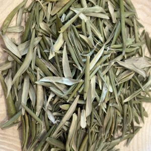Tisane d'Olivier