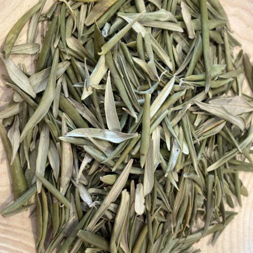 Tisane d'Olivier