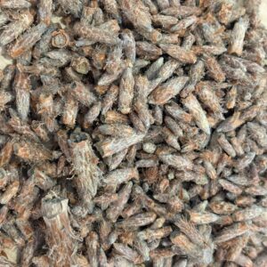 Pin sylvestre Bio
