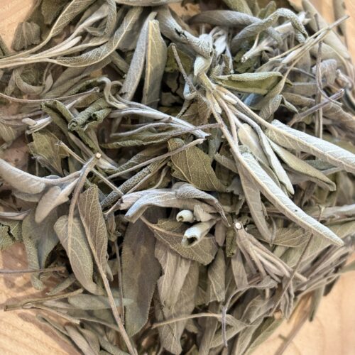 Sauge officinale Bio