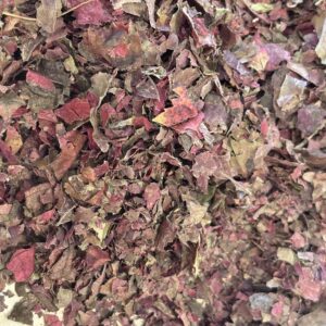 Vigne rouge Bio