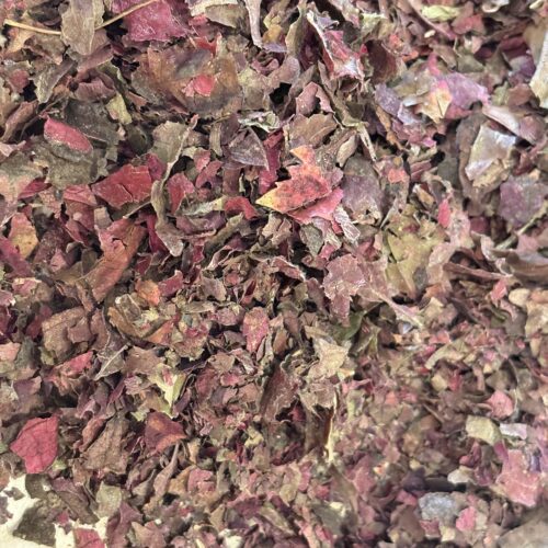 Vigne rouge Bio