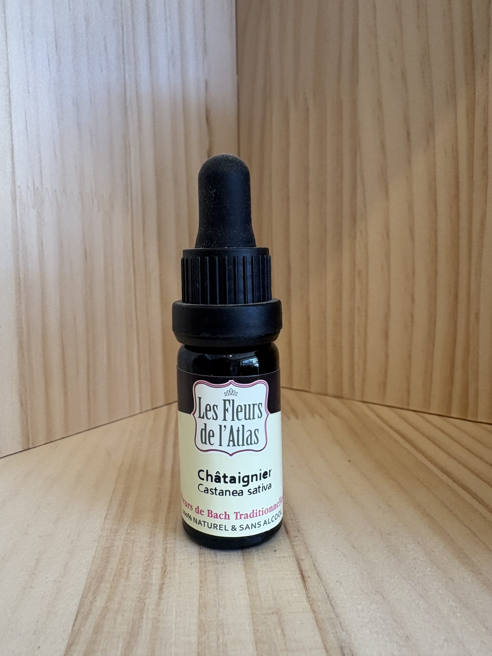 Châtaigner - Sweet Chestnut - Fleur de l'Atlas