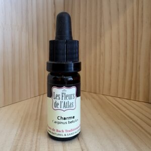 Charme - Hornbeam - Fleur de l'Atlas