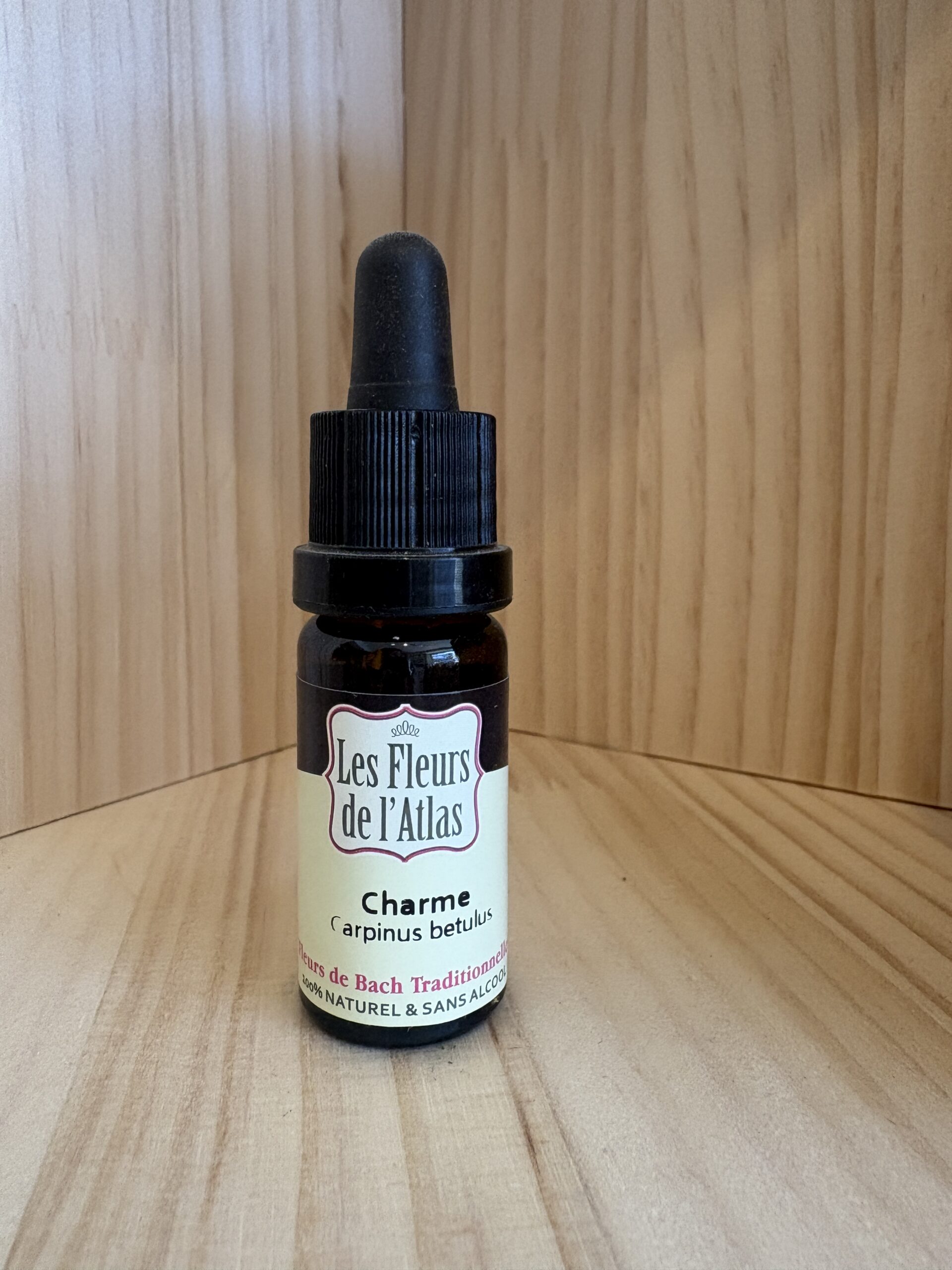 Charme - Hornbeam - Fleur de l'Atlas
