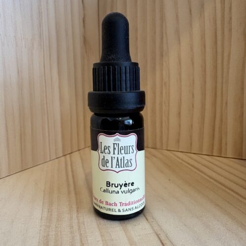 Bruyère - Heather - Fleur de l'Atlas
