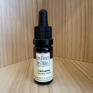 Clématite - Clematis - Fleur de l'Atlas