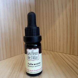 Folle avoine - Wild Oat - Fleur de l'Atlas