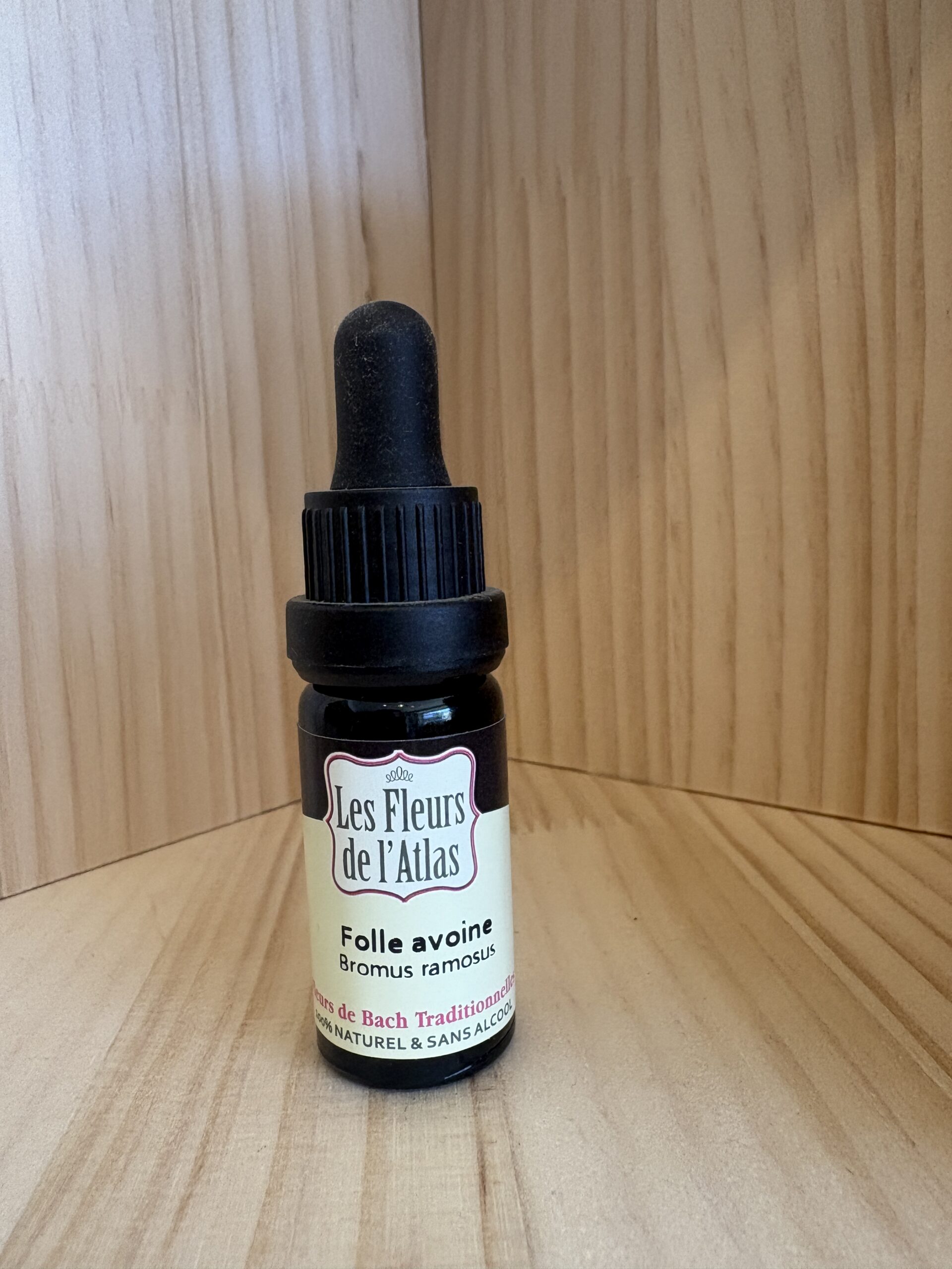 Folle avoine - Wild Oat - Fleur de l'Atlas