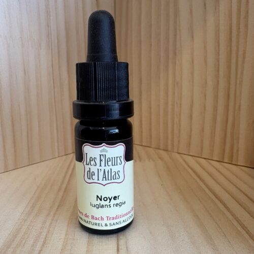 Noyer - Walnut - Fleur de l'Atlas