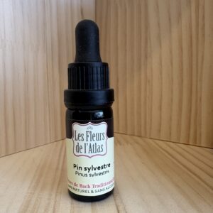 Pin sylvestre - Pine - Fleur de l'Atlas