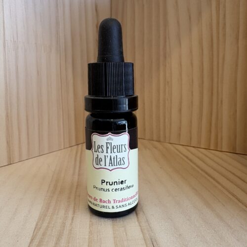 Prunier Myrobolan - Cherry Plum -   Fleur de l'Atlas