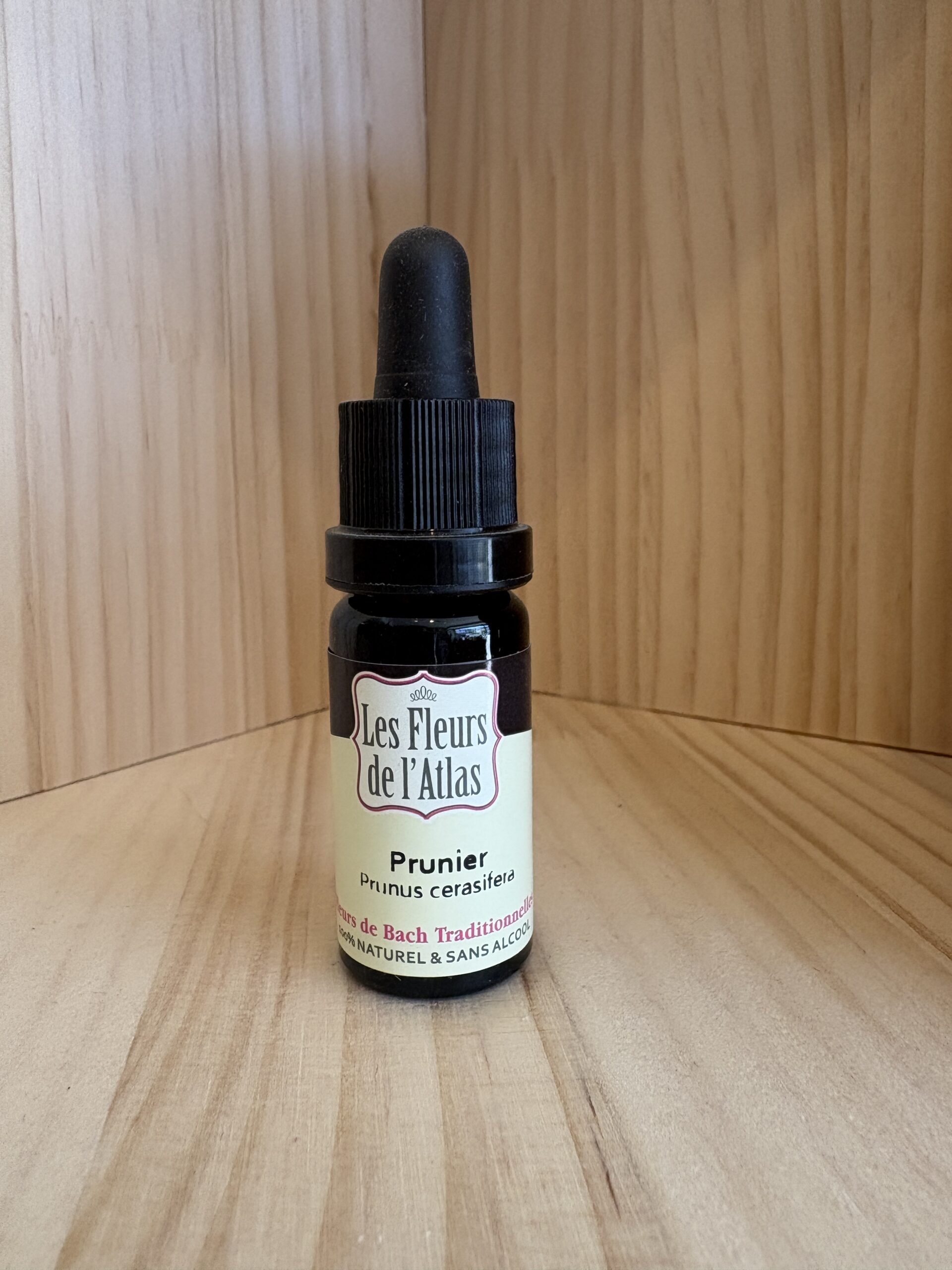 Prunier Myrobolan - Cherry Plum - Fleur de l'Atlas