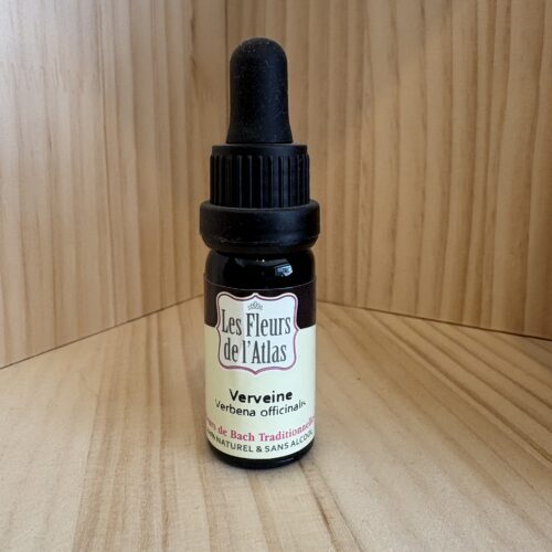 Verveine -  Vervain - Fleur de l'Atlas