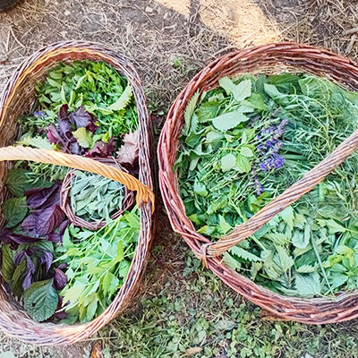 panier